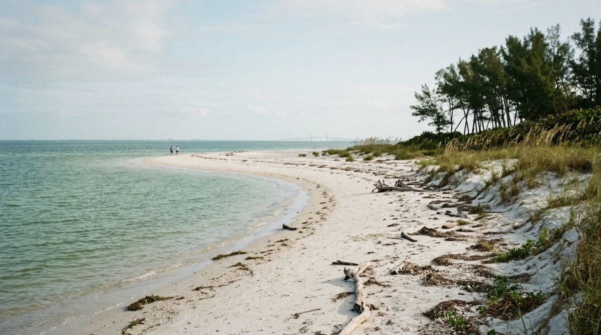 The sand spit at Bean Point on the north tip of Anna Maria Island, a free place to see dolphins where Tampa Bay meets the Gulf